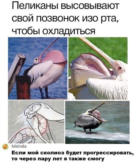 Картинки и мемы для настроения 23.09.2021