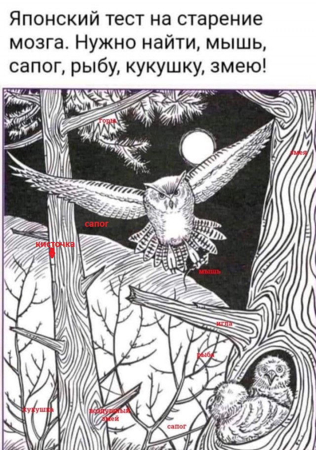 Бредзона 10.10.2021