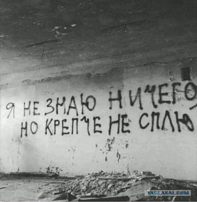 Почти половина россиян считают, что в РФ невозможно жить, не нарушая закон