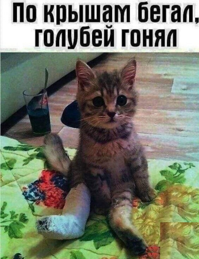 Баянисто-небаянистый юмор 9.11.21