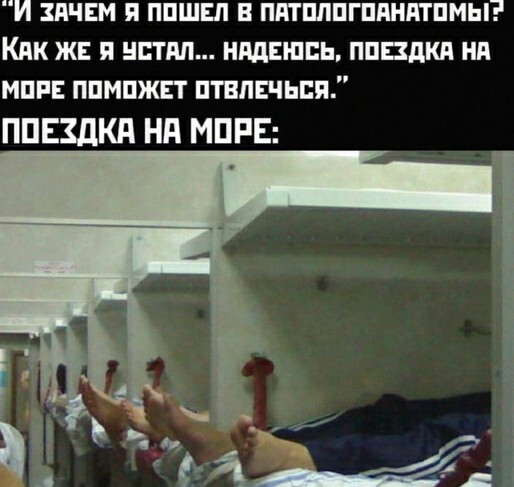 Фотки и картинки с текстом: юморные и красивые, забавные и милые 17.1121