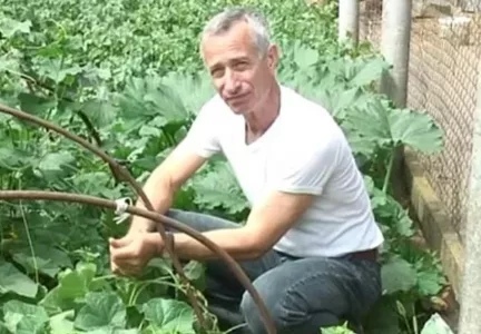 На заметку огородницам