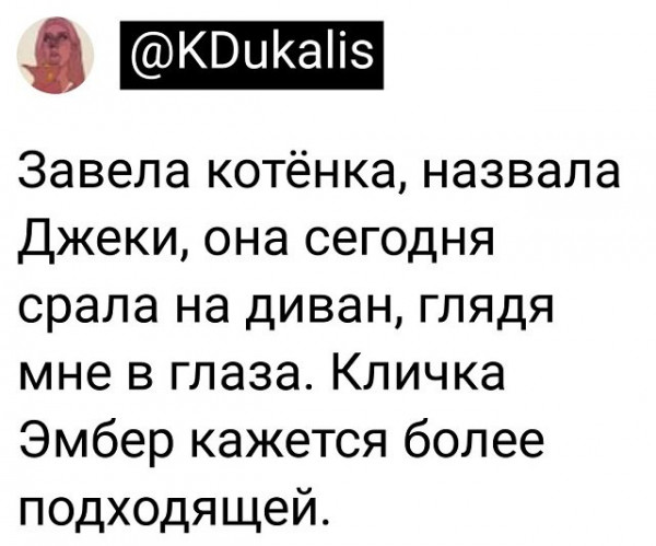 Баянисто-небаянистый юмор 7.06.22