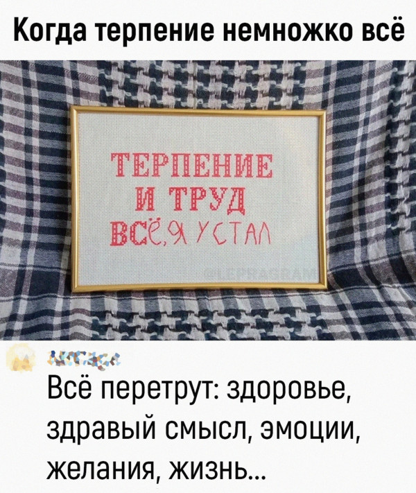 Картинки и мемы для настроения - 23