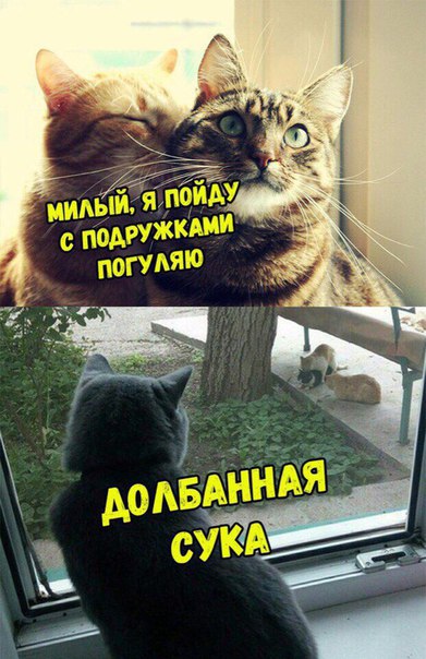 Немного картинок."Колбасный ветер". Август