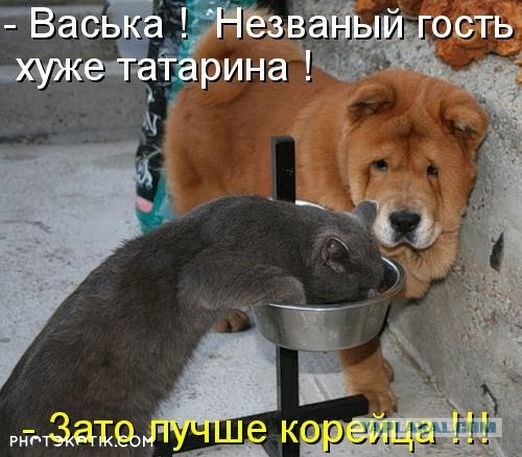 Нажрался и спать