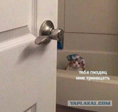 «Джеймс Уэбб» сфотографировал идеальное «кольцо Эйнштейна»