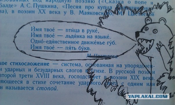 Тонкий намёк