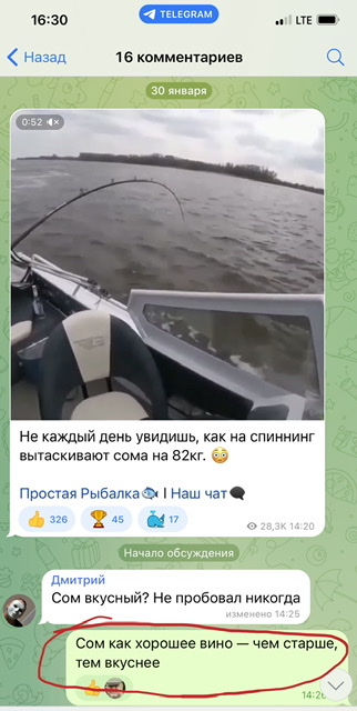 Астраханский сом