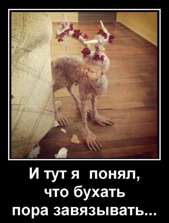 Победная поступь идиотизма по планете – том 9
