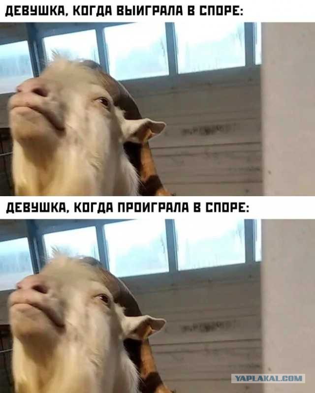 38 разных картинок для настроения (1)