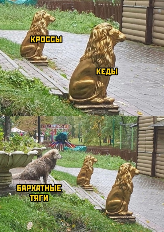 Немного картинок для настроения - 177