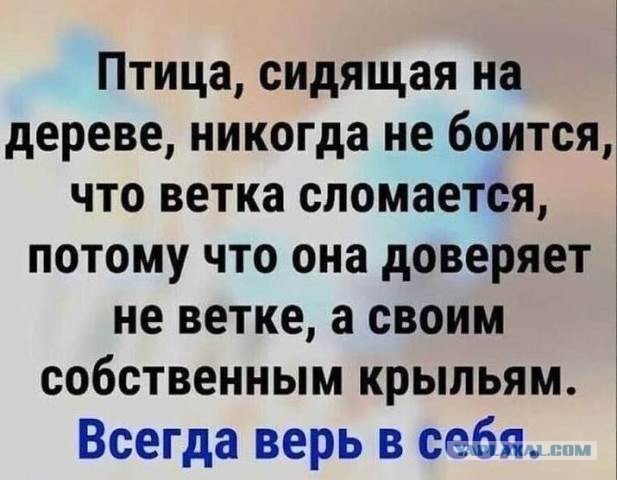 Немного мотивации для мужиков
