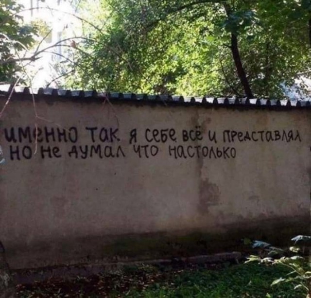 Сотка отборных баянов картиночной направленности