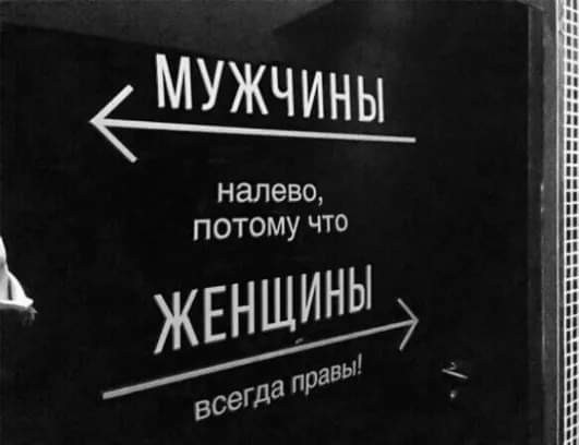 Картинки от Скодеро-2