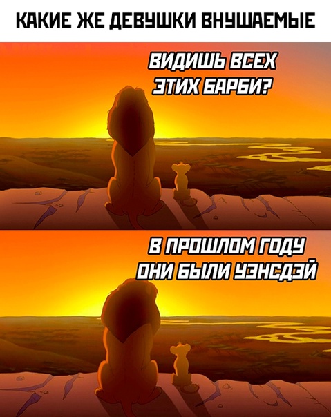 Весёлый полтишок 21.08.23