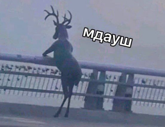 Хозяйство у жениха маленькое, жену не найдет!