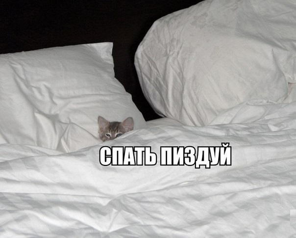 Мне 52 я не жалуюсь. У меня всё хорошо.