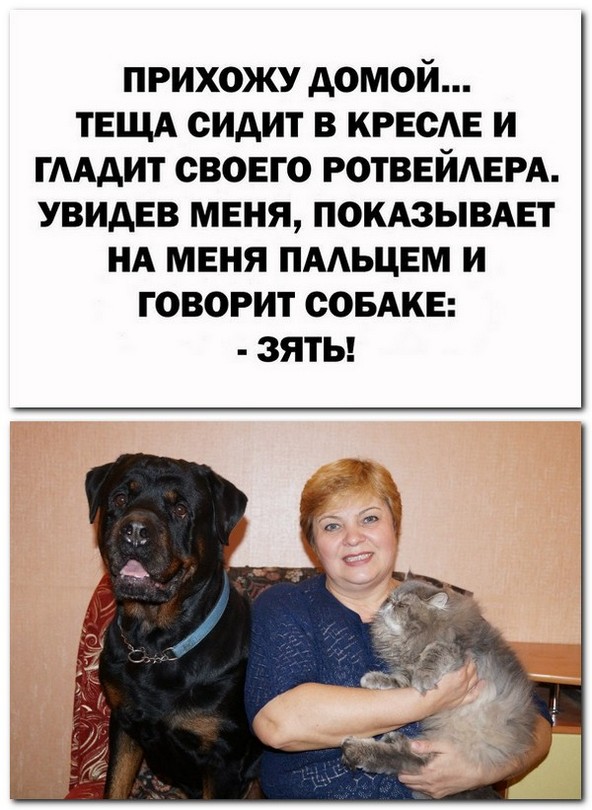Анекдоты и шутЯПки с картинками
