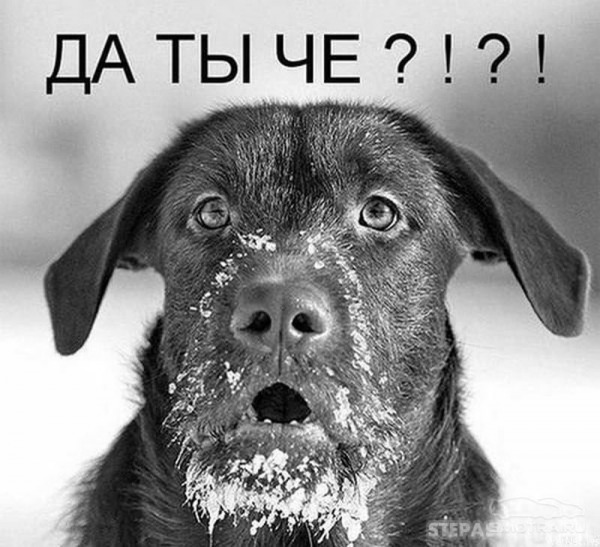 Установлен тип вооружения, с помощью которого был поражен самолет Ил-76 в Белгородской области