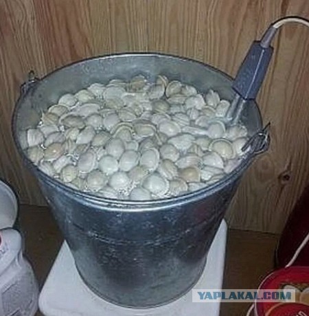 Почему американцы редко пользуются электрическими чайниками