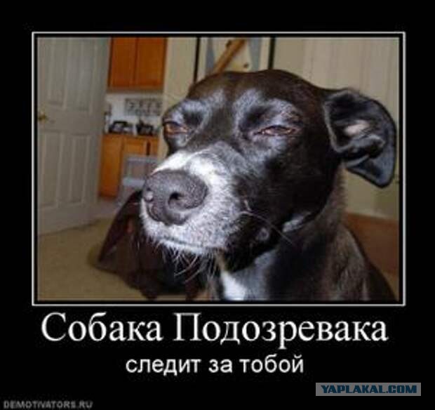 Свердловский губернатор упрекнул заводы в отказе от «социалки» в ответ на жалобы о нехватке рабочих