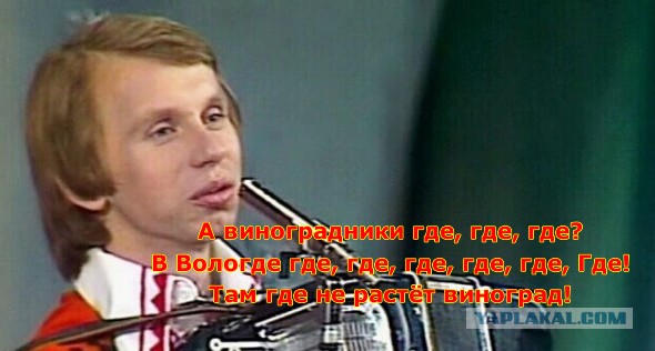Губернатор Вологодской области лично уничтожил бульдозером частный виноградник