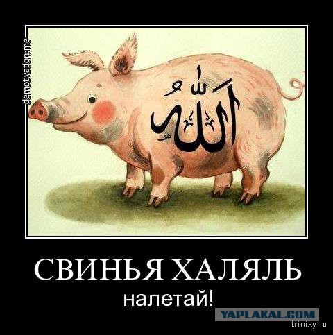 Вся наша свинина 100% халяль