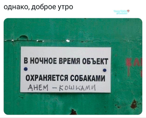 Тыгыдымы бесятся
