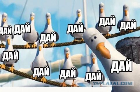 Когда сделал первый укус шаурмы