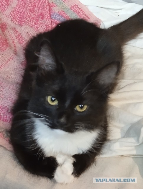 Возвращение доверия