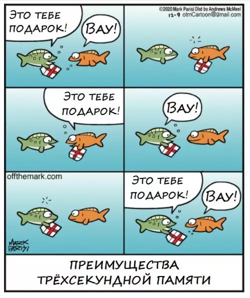 Картиночки, баянчики 16 февраля