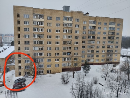 Девятилетняя девочка загадочно пропала в Смоленске во время прогулки с собакой