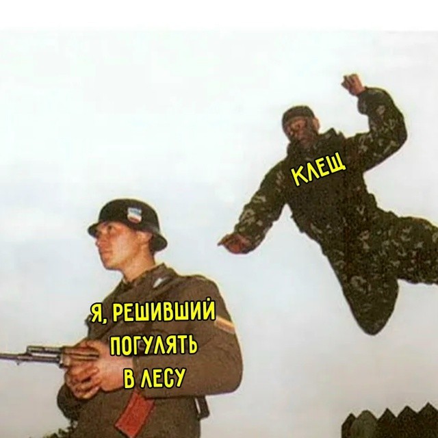 Картинки для деградации 187 (разной степени свежести