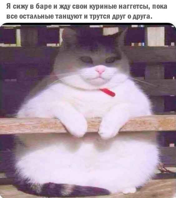 Веселое настроение в картинках (06.05.2026)