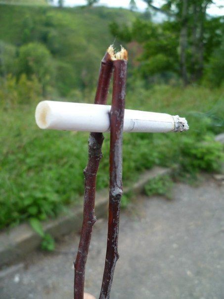 Гастрономические опыты детства СССР