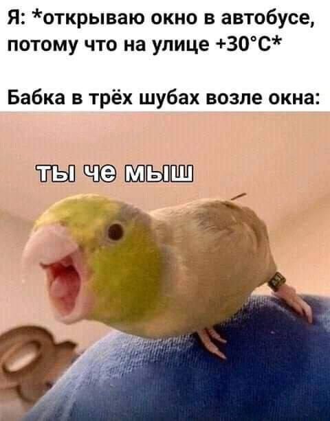 Картинки для деградации 233 (разной степени свежести)