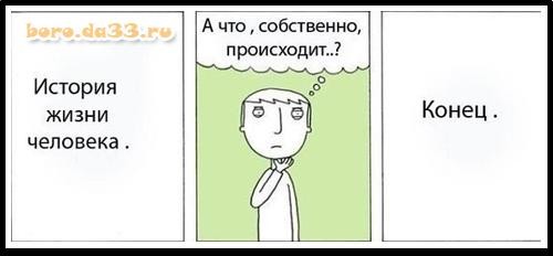 Так себе картинки 29.07.26