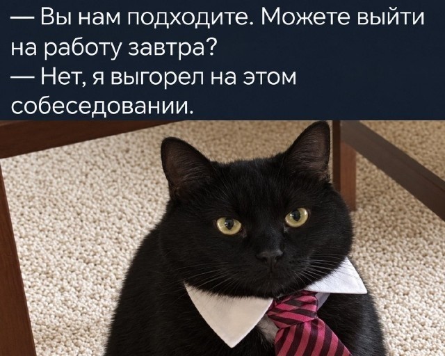 Картинки для деградации 282 (разной степени свежести)