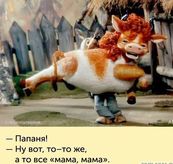 Сергей Бурунов бросил усыновлённого в Подмосковье зубра Мухомора