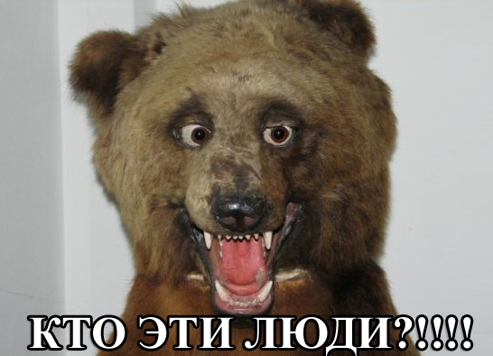 Майдан 2013, Киев