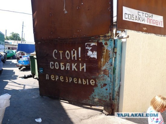 Шаланды полные кефалииии в Одессу Костя привозил