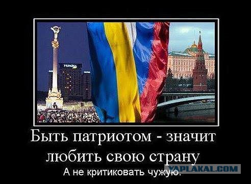 Александр Левкуша. Домайданился
