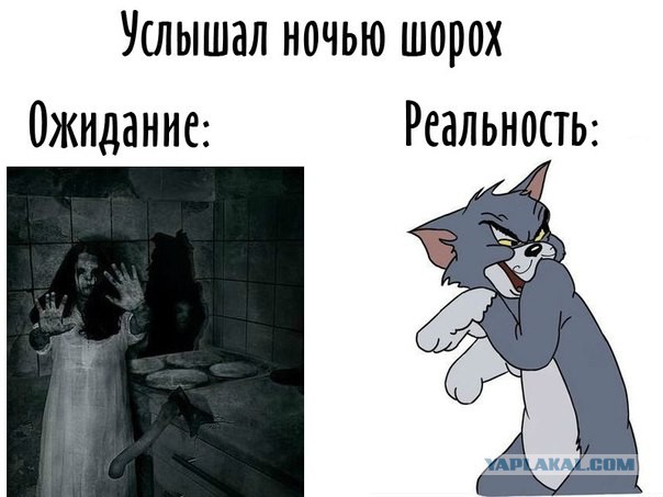 Ожидания VS Реальность