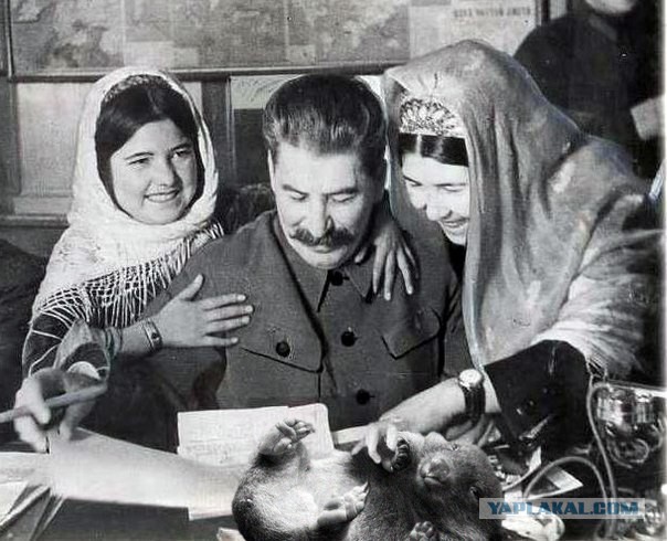 Вспомним нашего Верховного Главнокомандующего