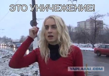 СтопХам 74 Истерика