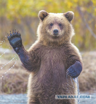 Чемпионат Мира 2014 Бразилия