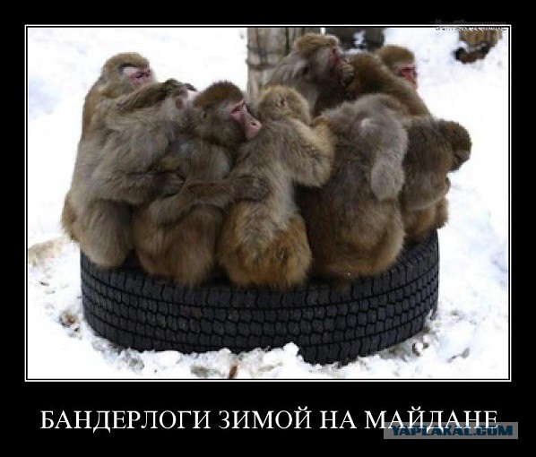 Кризис в Украине глазами карикатуристов