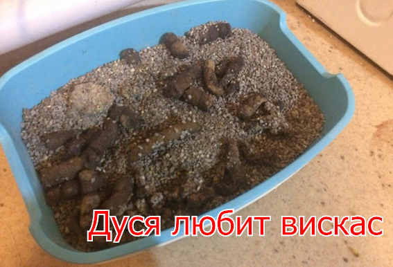 Нужен совет