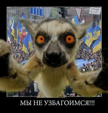 Драка в Киеве. Милиция бьет онижедетей
